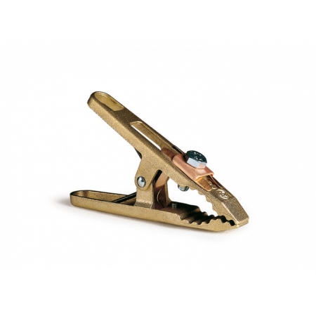 Pince de masse en laiton 200 A GAMMA 1